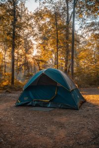 A green tent sitting in the middle of a wooded area